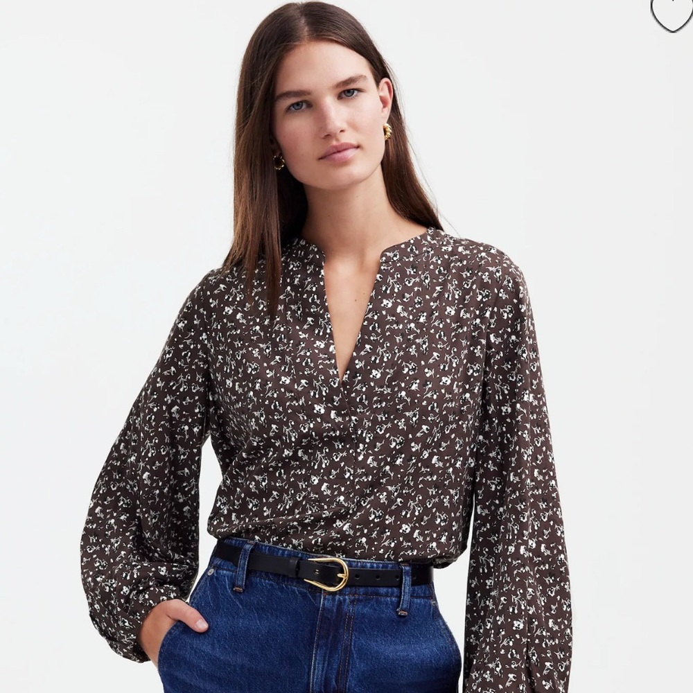 Madewell V-neck Long Sleeve brown floral print top